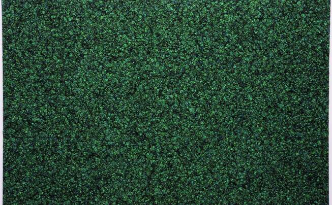 Fabromont flooring for the Obersee Bilingual School