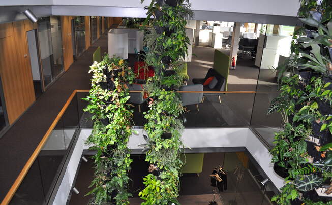 Inside view Testo SE & Co. KGaA