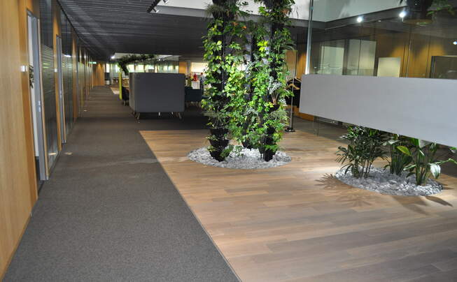 Inside view Testo SE & Co. KGaA