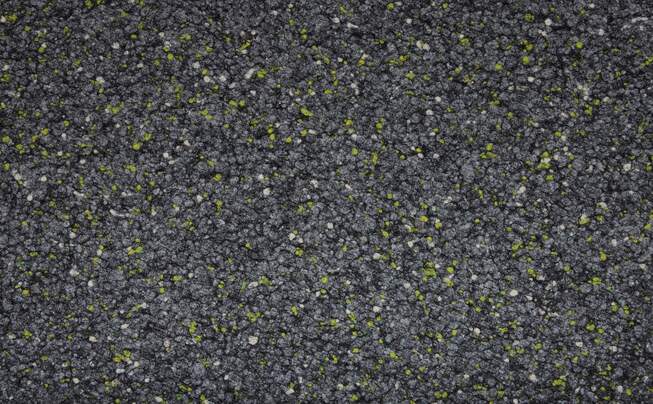 Fabromont Bodenbelag für die Freie Evangelische Schule Dusslingen